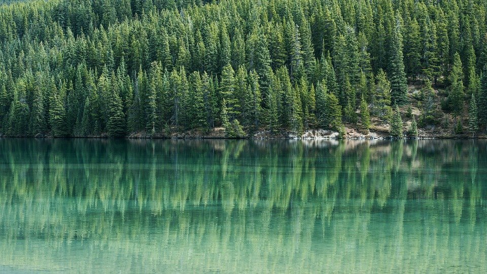 What is Evergreen Content & Why Do You Need it on Your Site?