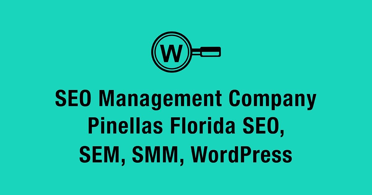 seo management company pinellas