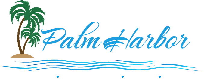 Palm Harbor Chamber of Commerce Welcomes Online Presence Manager