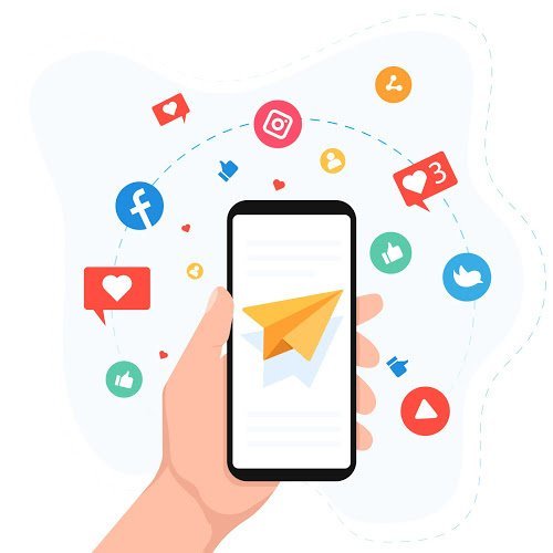 Affordable SEO Service Palm Harbor
