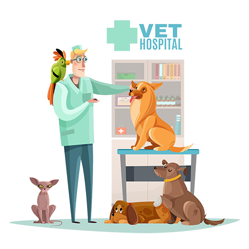 Local SEO Veterinarians