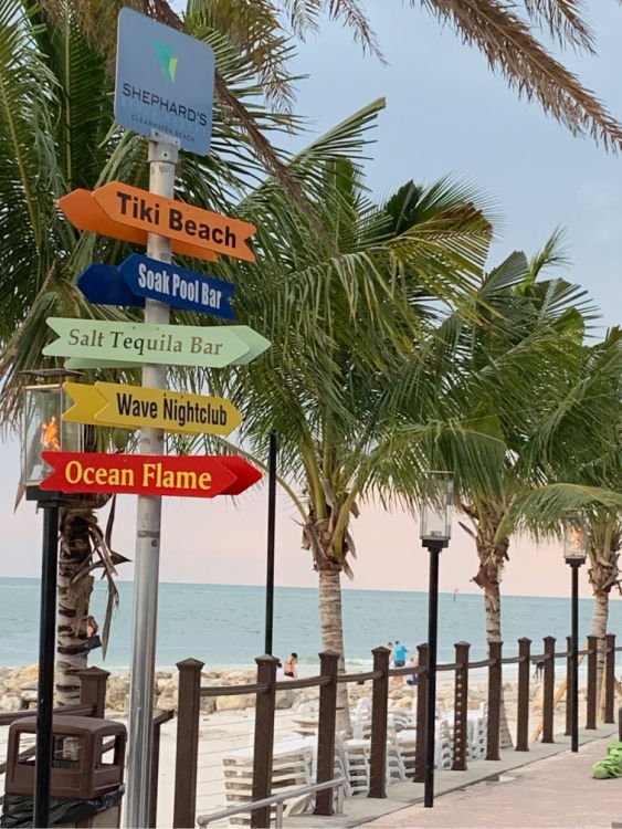 Shepard's Clearwater FL